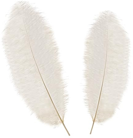 WedDecor Large Real Ostrich Feathers 50–60cm – Ivory Natural Plumes for Table Centerpieces, Dressmaking, Fashion Accessories, Hats, DIY Crafts & Wedding Decoration, 5pcs | 50-60cm Long Feather for Wedding Centerpieces, Home, Decorating Costumes, Embellishment, Art & Craft, Parties