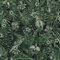 Papier peint perroquet vert | Papier peint vert foncé 37210-1 | Papier peint jungle intissé vinyle | Papier peint chambre adulte tendance