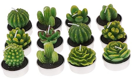 Ciieeo 12 Candele Tealight A Forma Di Pianta Succulenta Non Decorative Per Decorazioni Per La Casa Compleanno