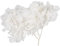 Holibanna 1Paquet Fleurs Stabilisées Blanches Hortensia Séchés pour DIY Et Décorations Fournitures De Nail Art Et Bricolage