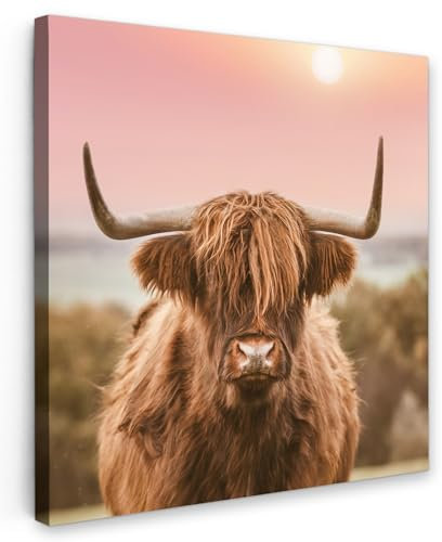 MuchoWow Leinwand Bilder, Einzigartige Wanddeko mit Rahmen, Natur - Schottischer Highlander - Rosa, Wandbilder Wohnzimmer, Deko Schlafzimmer 50x50 cm