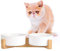 Gamelle Chat - Gamelle Chien avec Support Bois - Gamelles pour Chats Chiens en Ceramique Facile à Nettoyer - Double Bol Chat Chiot pour la Nourriture et l'eau 2 x 480 ML