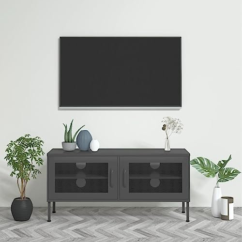 Mueble de TV para exteriores OthersTV Antracita 105x35x50 cm Acero