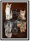 LUKDUNG 5D Diamant Painting Bilder Full Groß, Diamant Malerei for Erwachsene und Kinder, DIY Diamond Painting Set Strass Stickerei Kreuzstich Handwerk für die Wanddekoration (DREI Kätzchen) 12×16in