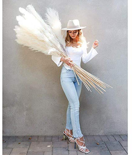 5 Stk Pampasgras Getrocknet Groß - Länge 120cm, Natürlich Trockenblumen, Lang Beige/Cremeweiß - Pampas Grass Blumenstrauß Deko - für Inneneinrichtungen Fotografie Hochzeit