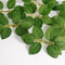 ROYALLATO Artificial Rose Leaves, 35Pcs Fake Leaves Green Artificial Leaves for Wedding Party Flowers Arrangements Roses Vine Garland DIY Crafts Supplies