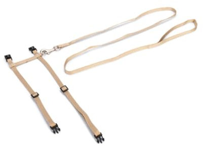 Beeztees Uni - Katzengeschirr - Nylon - Beige - 27-45 cmx10 mm