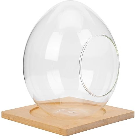 Yardwe 2 Sätze Eiförmige Glasflasche Kugelpflanzer Terrarium Terrarienschalen Aus Glas Blumentöpfe Aus Glas Hängende Blumentöpfe Im Innenbereich Schräge Vase Eierbehälter Holz Moos Kaktus