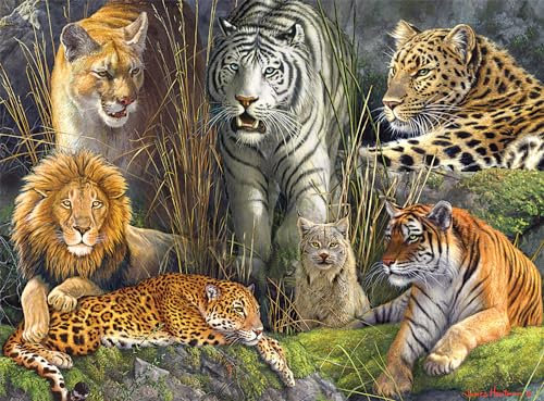 Buffalo Games - James Hautman - Big Cat Collage - 1000 Piece Jigsaw Puzzle for Adults -Challenging Puzzle Perfect for Game Nights - Finished Size is 26.75 x 19.75