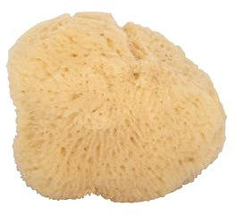 Niyok® Gesichtsschwamm Naturschwamm, Peeling Schwamm Gesichtsreinigung, Natürlicher Reinigungsschwamm Gesicht, Plastikfrei & aus Europa