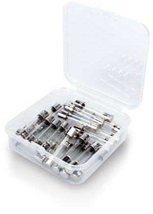 Innfeeltech 25 Stück träge Glassicherungen 6 * 30mm 250V 1.25A Träge Röhrensicherungen Sortimentskit