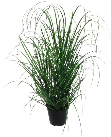Kunstpflanze Gras, Dekogras. GRASBUSCH IM Topf. Ca 60 cm. OHNE Übertopf (2)