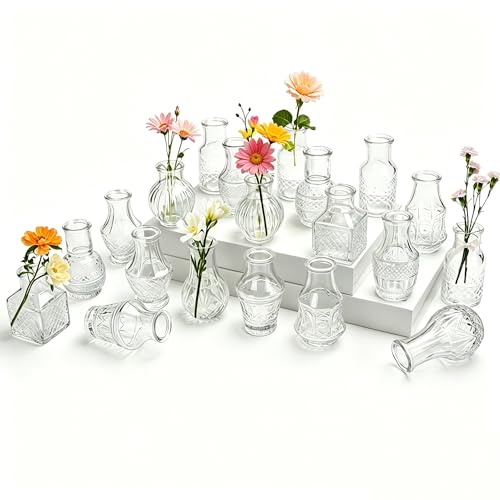 Otauoaea 20 Stück Kleine Glasvase,Vasen Set Vintage Mini Vasen Deko Set Verschiedene Groessen Blumenvase für Tischdeko Zuhause Hochzeiten Tafelaufsätze Party Wohnzimmer Geburtstage Feste,Transparent