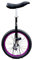 Einrad,Verstellbar Skidproof Durable Acrobatics Balance Radfahren Heimtrainer, Konturierter Ergonomischer Sattel Geeignet FüR AnfäNger / 16 Zoll/lila