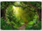 Luminora 2,1 x 1,5 m Stoff Regenwald Fotografie Hintergrund Dschungel Wald Tropische Natur Landschaft Hintergrund Camping Party Dekorationen Foto Banner Requisiten