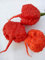 SEMI PEPERONCINI-10 VARIETA' -COLLEZIONE 2-CAROLINA REAPER -APOCALISSE-BHUT JOLOKIA RED-NAGA MORICH-ECC.