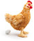 Uni-Toys Kuscheltier Henne mit Ei 33 cm Hellbraun Plüschhuhn Huhn aus Plüsch