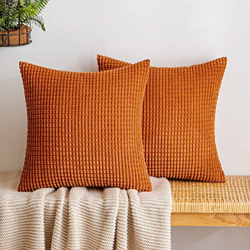 EMEMA Kordsamt Kissenbezug Herbst Granulat Dekorative Sofakissen Dekokissen Kissenbezüge Couchkissen Kissenhülle Weich Kissen Bezug Zierkissen für Sofa Couch Wohnzimmer 2er Set 45x45 cm Karamell
