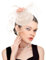 dressfan Fascinator Hut Damen Hochzeit Haarschmuck Schleier Vintage Perle Stirnband Gatsby Haarreif 20er 50er Pillbox Kopfschmuck für Hochzeit/Cocktail/Gatsby/Teeparty,Champagne