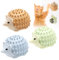 DAKLUNAR Katzenminze Balls Spielzeug für Katze, 3 Stück Catnip Wall Ball, Drehbare Katzenminze Ball Katzenminze Bälle Wand Zahnreinigung Dentales essbares Kätzchenspielzeug mit Aufbewahrungsdeckel