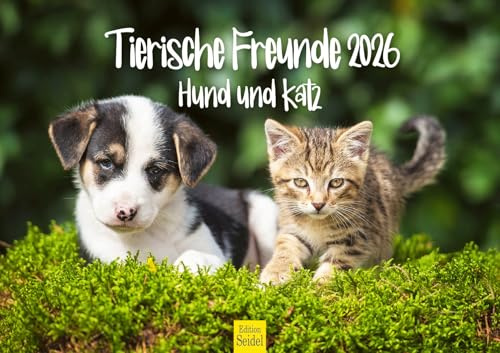 Edition Seidel Premium Kalender Tierische Freunde Hund und Katz 2026 Format DIN A3 Wandkalender Tierkalender Hunde Katzen Welpen Kätzchen Freundschaft