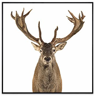 Klarstein Infrarotheizung mit Thermostat, 350W Elektroheizung, Smart Home Bild-Infrarotheizung zur Wandmontage, IR mit IoT/WiFi App-Control, Feuchtraum Heizkörper CO2-Frei, Elektro Wand Heizung 60x60