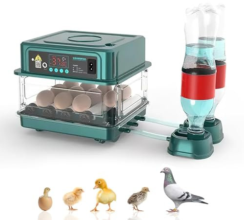 Brutautomat Vollautomatisch Brutmaschine Vollautomatisch Inkubator Hühner für 10-36 Eier, Brutkasten Hühner mit Automatischem Eierdrehen und Automatischer Wasserzugabe für Zucht von Hühnern (9 Eier)