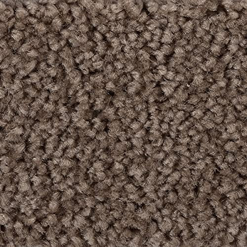 Teppichboden schwarz Meterware 500cm und 400cm Breite mit Textilrücken Kräuselvelours Teppich Auslegware weich ideal für Schlafzimmer (4 m x 3 m)