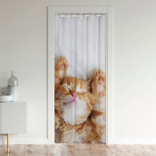 Loussiesd Athlete Shooting Basketball Verdunkelung Verdunkelungsvorhangports Schrank Vorhang für Innentür Raumteiler Ball Türvorhang 86x203cm für Tür Privatsphäre Competition Blau