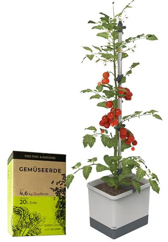 GUSTA GARDEN Tom Tomato Tomatentopf Hellgrau - Pflanzentopf mit Rankhilfe, Bewässerungssystem & Befestigungshaken - Set inkl. 20L Erde - 4,5L Wassertank & 20L Erdvolumen (hellgrau, mit Erde)