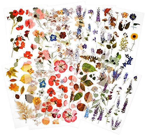 10 Blätter Transferaufkleber einreiben Sammelalbum Aufkleber Blumenaufkleber Dekorationsplaner Aufkleber Pflanzenaufkleber für Scrapbooking Tagebuch Album Bullet Journals DIY Arts and Crafts (Garden)