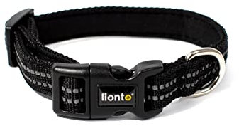 lionto Hundehalsband aus strapazierfähigem Nylon, Größe XS, weiches gepolstertes Halsband für Hunde, 360° reflektierend & Klickverschluss, Metallring & Anpassung durch stufenlosen Schieber, schwarz