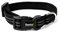 lionto Hundehalsband aus strapazierfähigem Nylon, Größe XS, weiches gepolstertes Halsband für Hunde, 360° reflektierend & Klickverschluss, Metallring & Anpassung durch stufenlosen Schieber, schwarz