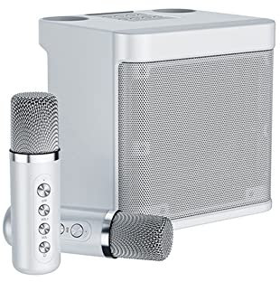 Sarpoer Macchina per Karaoke, Sistema Audio Portatile Bluetooth con 2 Microfoni senza, Riunione di Famiglia, Riunione, Picnic