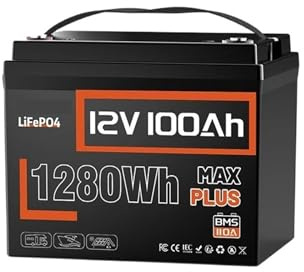 Batterie LiFePO4 12 V 100 Ah avec BMS 110 A, Plus de 8 000 Cycles, for Camping-Car, pêche, Bateau Autonome et système Solaire.
