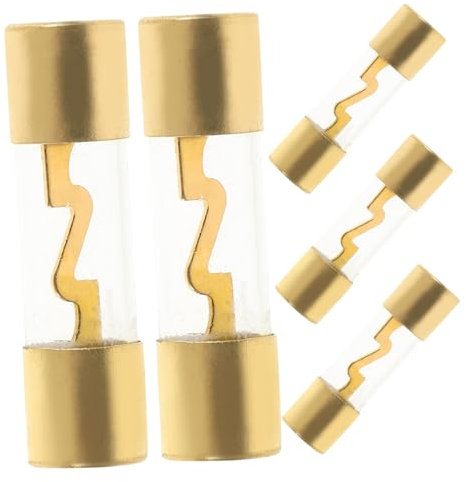 Gatuida Pack de 5 Fusibles en Ligne 60 a avec de Durabilité pour