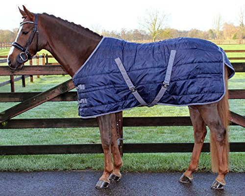 QHP Stalldecke 150g Füllung Kreuzgurte Schweiflatz Beinschnüre (125 cm, Dunkelblau)