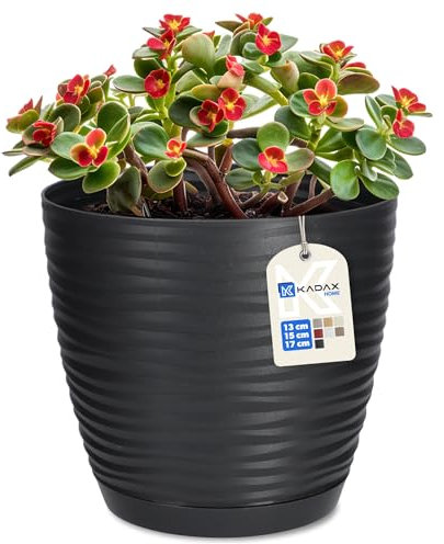 KADAX Flower Pot con sottobicchieri, vaso di fiori, fioriera per l'interno, pentola a pianta leggera fatta di plastica, fioriera per fiori, piante, casa, camera, fioriera (13 cm, antracite)