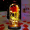 DASIAUTOEM Rose Éternelles, LED Rose Eternelle Cadeau Kit, Romantique Décoration La Belle et la Bête Rose en Verre avec Lumières LED, Dôme en Verre Rose pour Mariage Fête Anniversaire Amis Amoureux