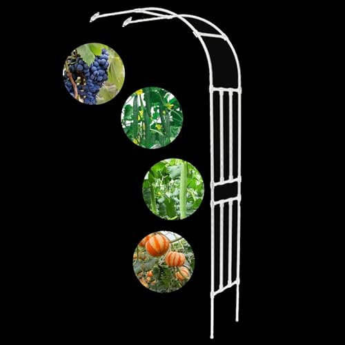 Arco da giardino a metà lato in metallo Archi per pergola resistenti alle intemperie Alti 240 cm Larghezza 60/90/120/150/180/220/240 cm,Bianco,240x240cm/7.9x7.9ft