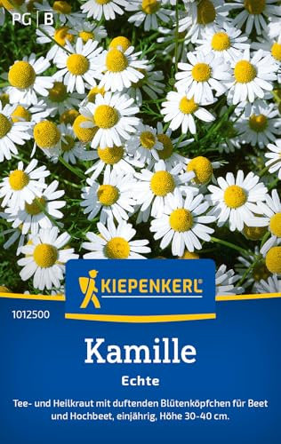 Kiepenkerl Kamillesamen Echte 1012500 – Tee- und Heilkraut mit duftenden Blütenköpfchen für Beet und Hochbeet - Saatgut, Kamillepflanzen, Blumensamen