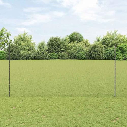 Qnhdfrt Doppelstabmattenzaun 25×1,60 m 44 Pfosten pulverbeschichtet Garten Hof Camping