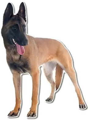 Autoaufkleber Belgische Malinois Autoaufkleber 15cm(5.9 Inch) 3D Zerrissen Aufkleber Wasserdichte Reflektierende Aufkleber Belgische Schäferhund Haustier Hund Lustig Aufkleber Laptop-Aufkleber Dekor