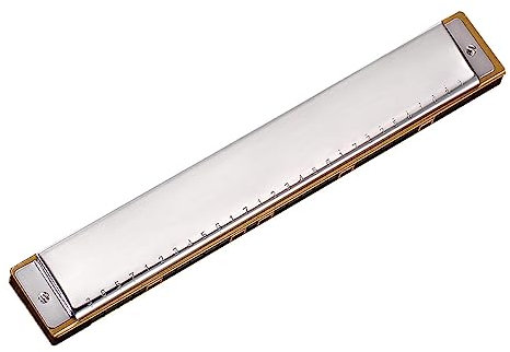 28 C Professionelle Mundharmonika & Erwachsene Spielerschüler