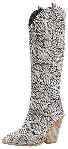 Lroey Reoly Stivali Alti Tacco Western Donna, Stivali da Cowboy Moda Zip Stivali Alti Tacco Alto Appuntito Stivali Invernali 252 Bianco Numero 34 EU