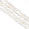 HOBBIESAY 76 Stück Süßwasser Zuchtperlen Lose 18cm Muschelfarben Natürlicher Perlenstrang Barocke Keshi Perlen Reisperlen Für Die Herstellung von Halsketten Loch:0.7-0.8mm