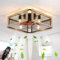 Vintage Industrial Ceiling Fan with Remote Control Retro Cage Light Ceiling Fan Quiet E27 Ceiling Fan Light for Bedroom Living Room Dining Room Vintage Ceiling Lamp Fixture.