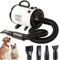 AHWOiHS Asciugacapelli per Cani Soffiatore per Cani 2800W Blower Molto Silenzioso con velocità e Temperatura Regolabile Asciugacapelli per Animali con 4 Diversi ugelli, Tubo Elastico (Bianco)