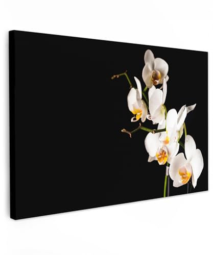 MuchoWow© Quadro su Tela 30x20 cm Stampe da Parete Quadri Cucina Camera da Letto Dipinto Arredamento Casa Orchidea - con Fiori - Piante - Botanica