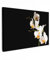 MuchoWow© Quadro su Tela 30x20 cm Stampe da Parete Quadri Cucina Camera da Letto Dipinto Arredamento Casa Orchidea - con Fiori - Piante - Botanica